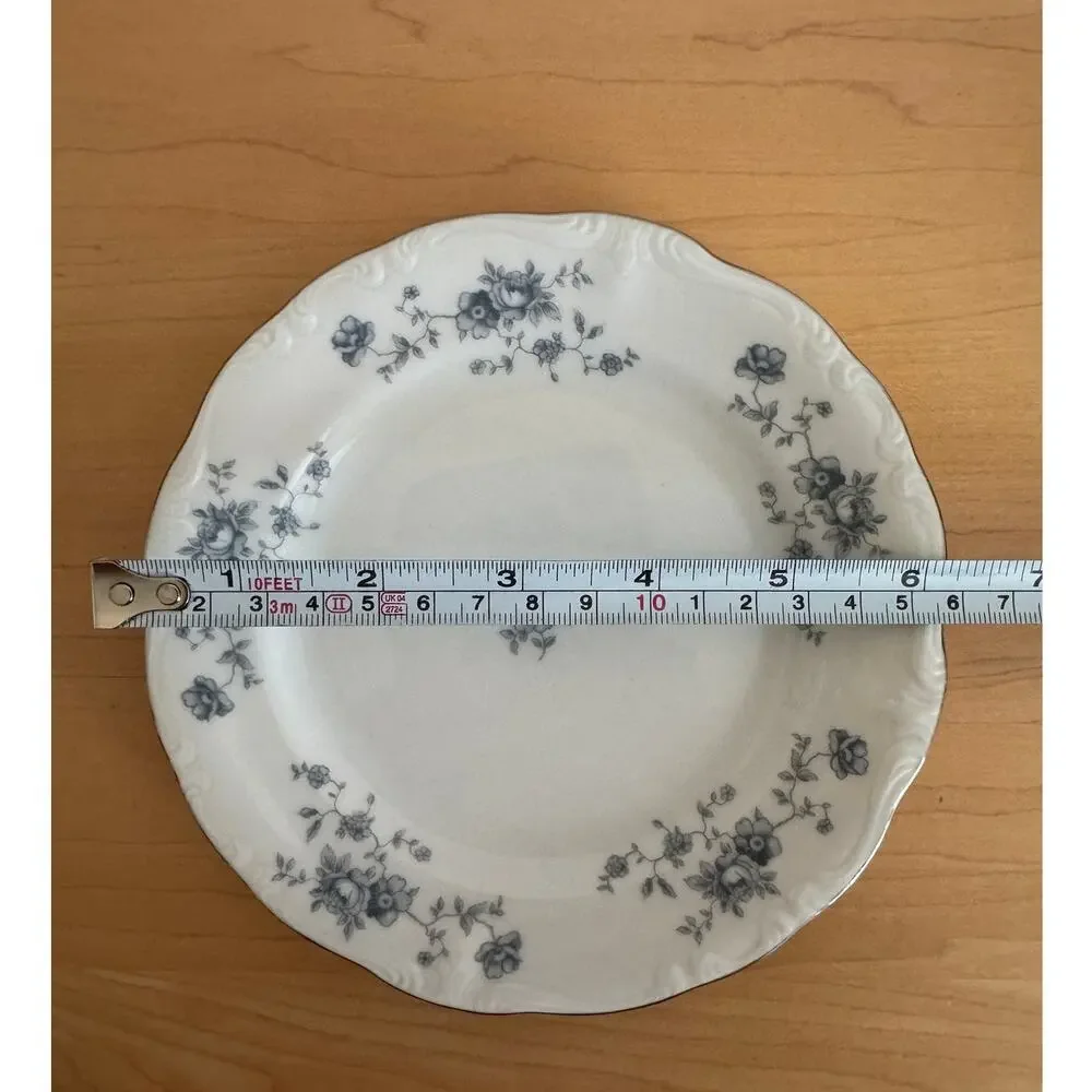 Vintage Johann Haviland Blue Garland Plates Set of 8 Germany China Platinum Trim